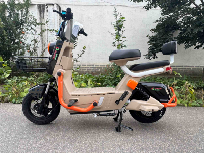 E-BIKE